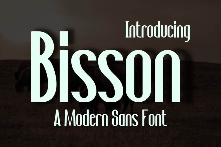 Bisson字体 2