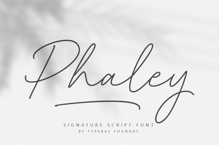 Phaley字体 1