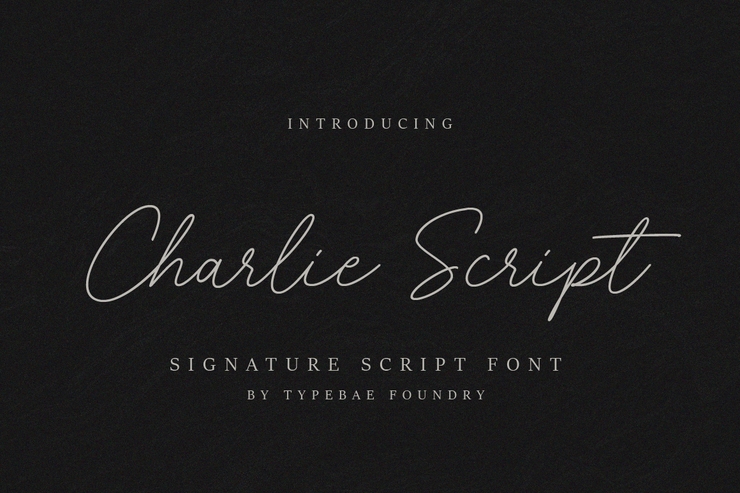Charlie script字体 1