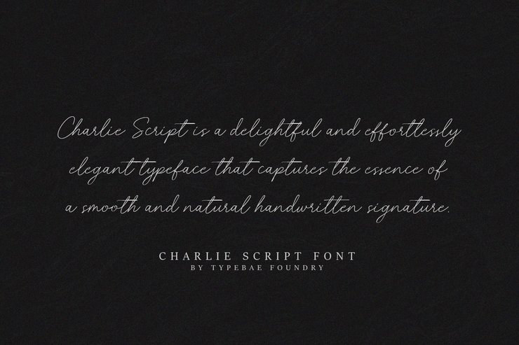 Charlie script字体 5