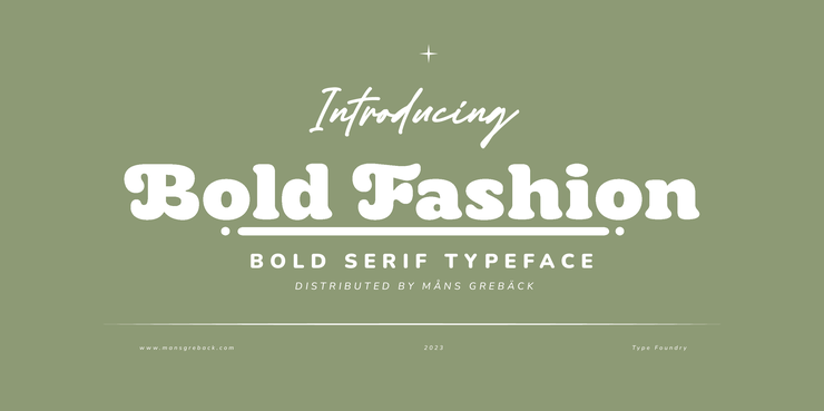 Bold fashion字体 1