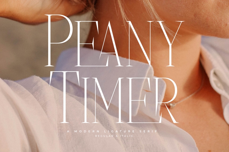 Peany timer字体 2