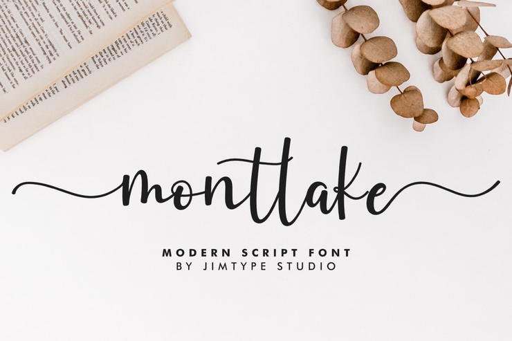 Montlake字体 1