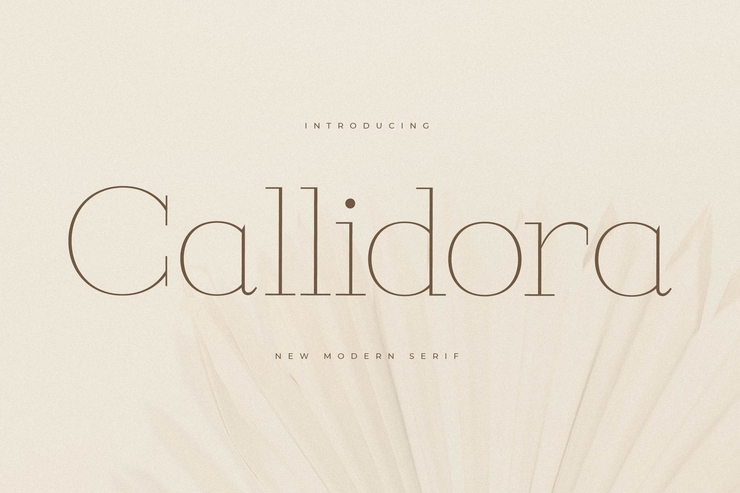 Callidora字体 1