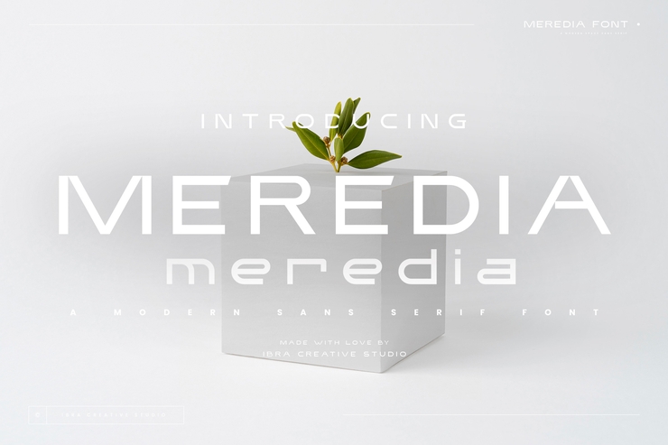 Meredia字体 1