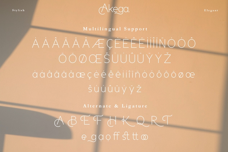 Akega字体 8