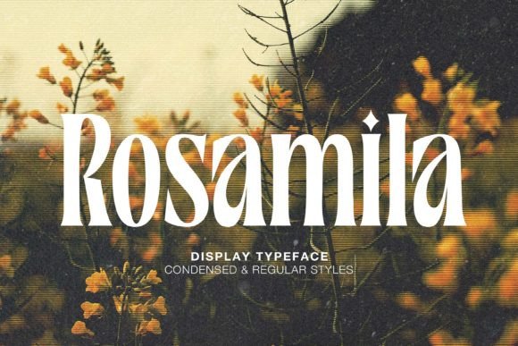 Rosamila字体 1