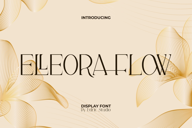 Elleora flow字体 1
