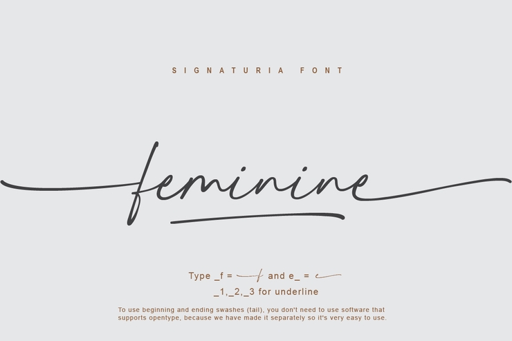 Signaturia字体 2