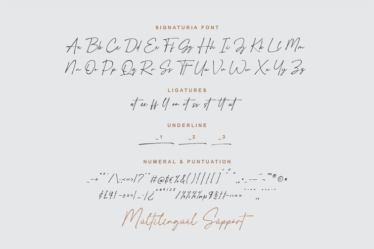 Signaturia字体 10