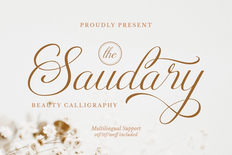 Saudary字体 1