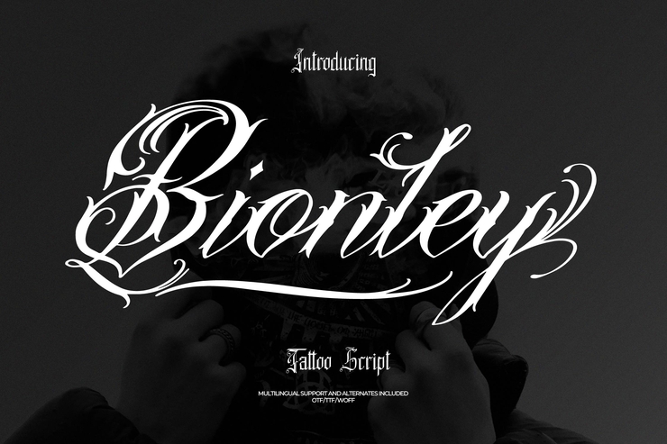 Bionley字体 1