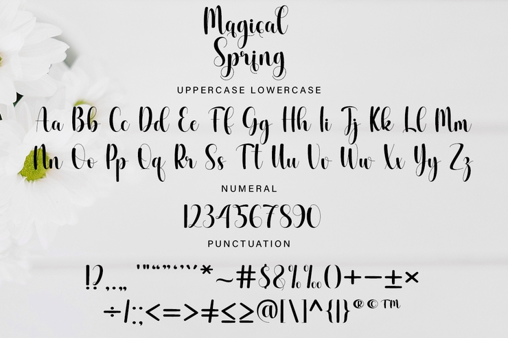 Magical spring字体 7