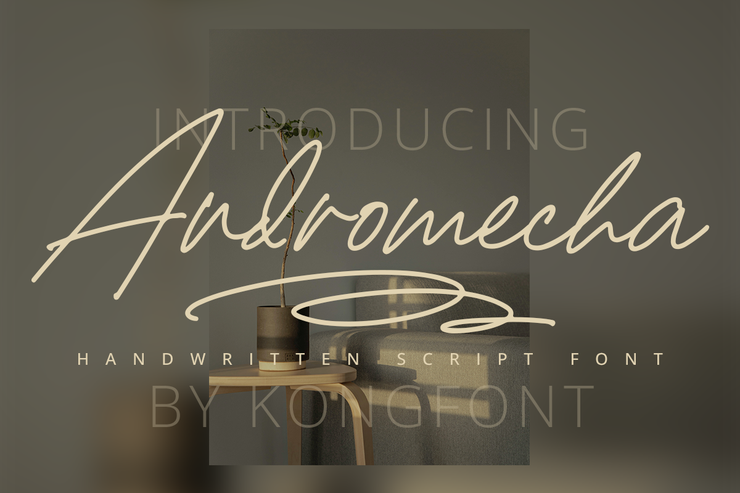 andromecha 1