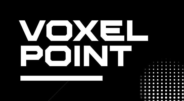 voxelpoint 1