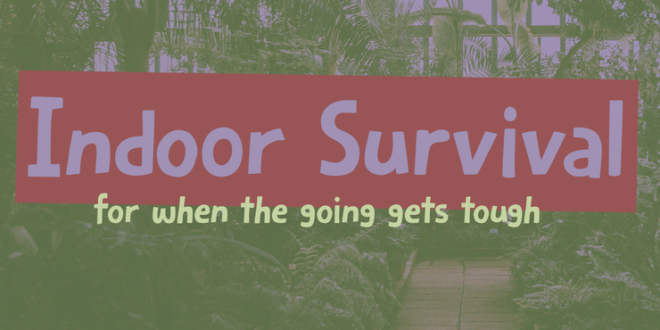indoor survival 1