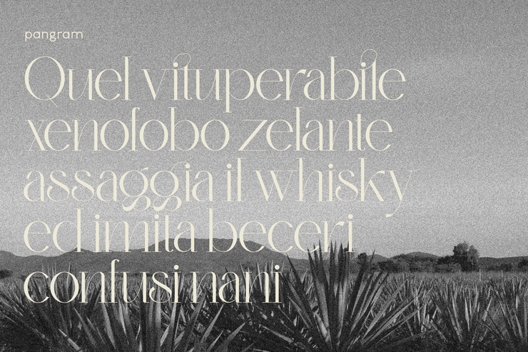 monteilga 10