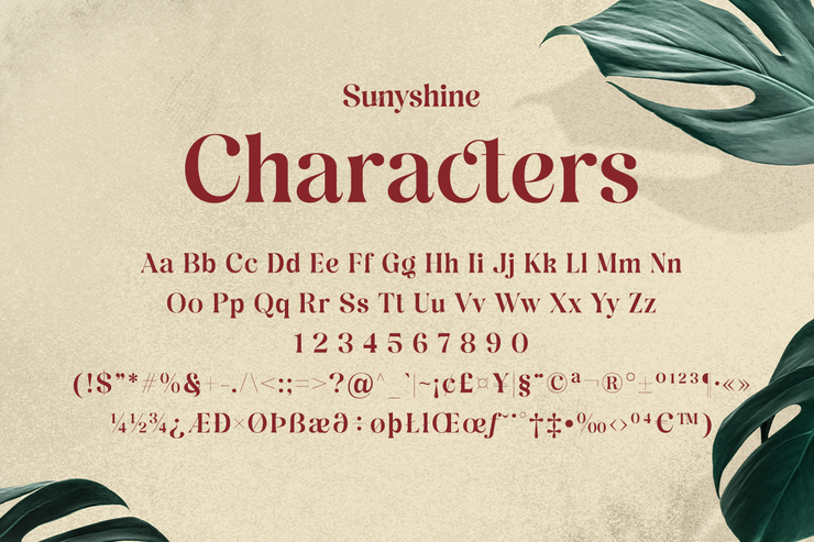 Sunyshine字体 10