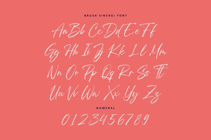 brush sinergi 8