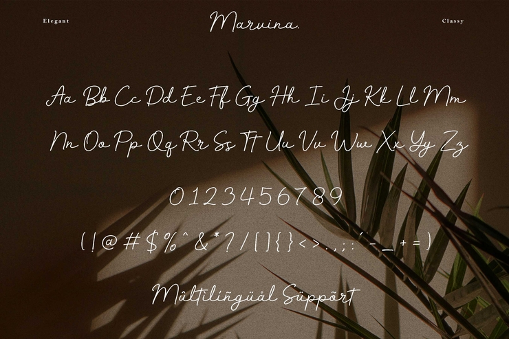 Marvina字体 9