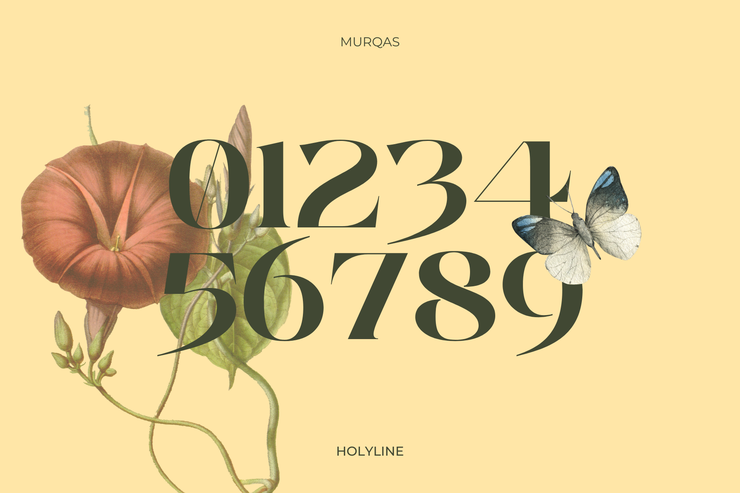 murqas 4
