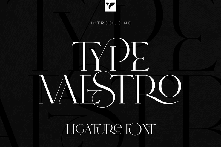 Type maestro字体 2