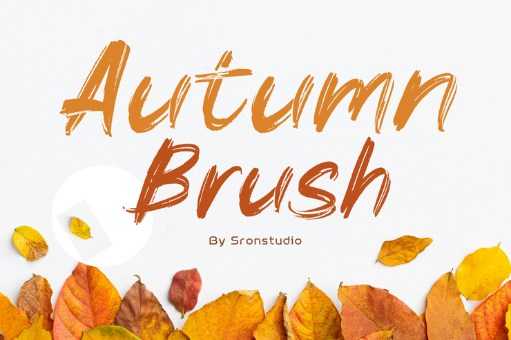 Autumn brush字体 1