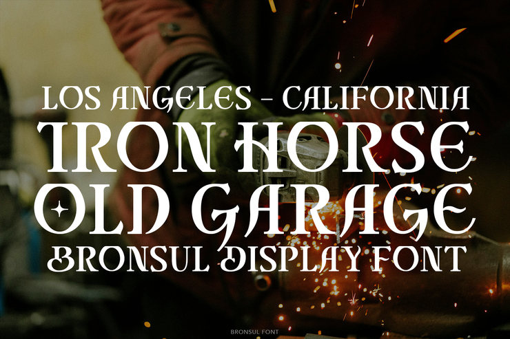 bronsul serif display 6