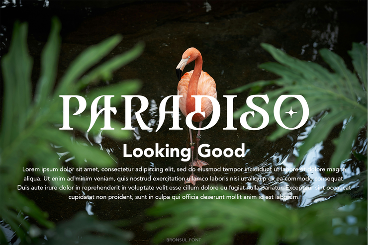 bronsul serif display 4