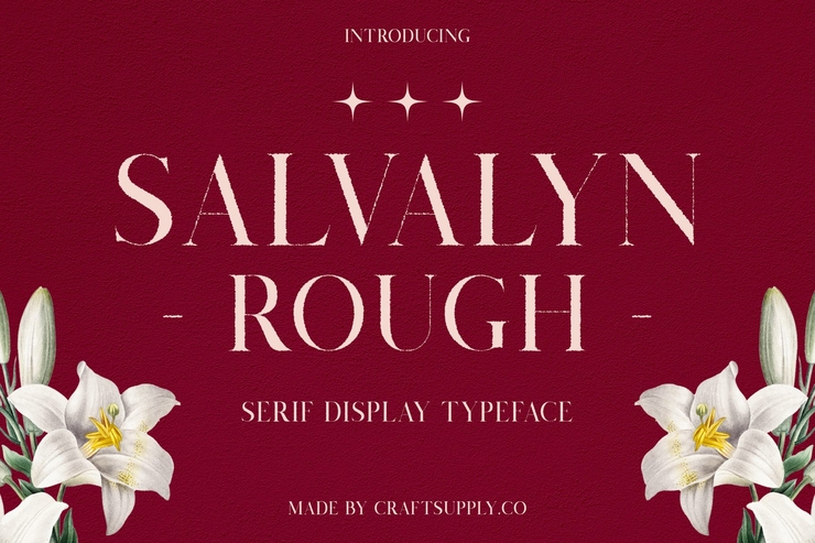 Salvalyn rough字体 1