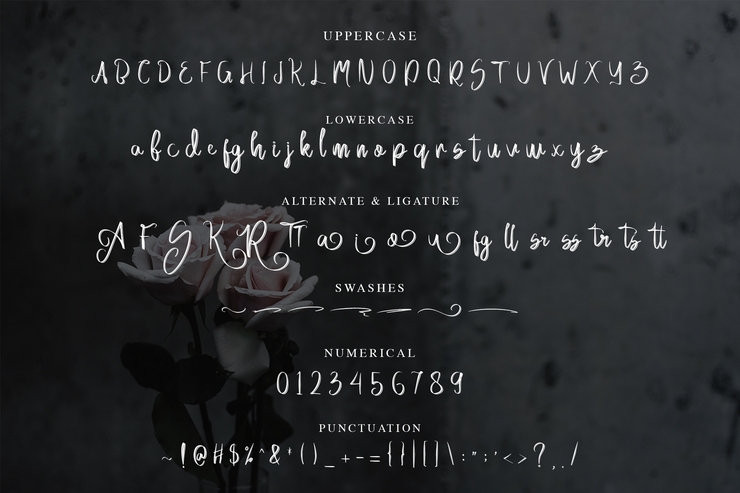 acallypha 8
