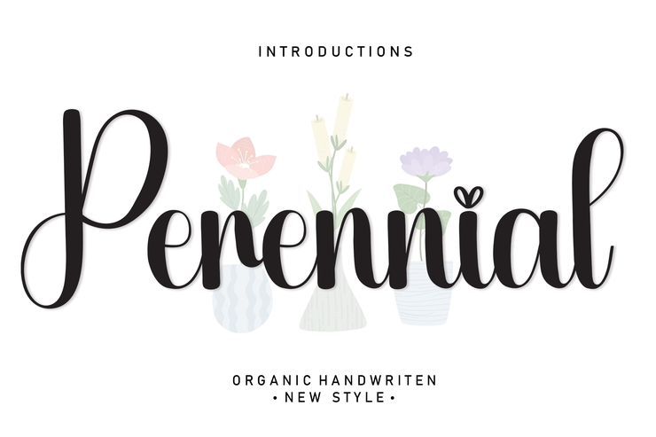 perennial 1