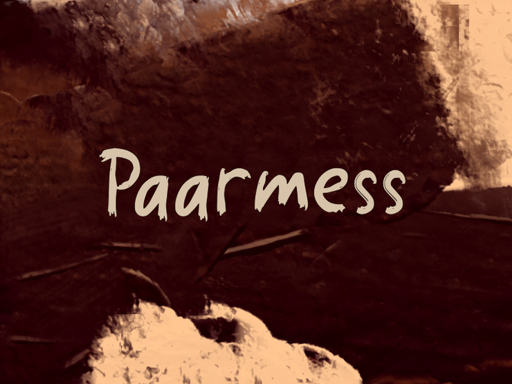 paarmess 1