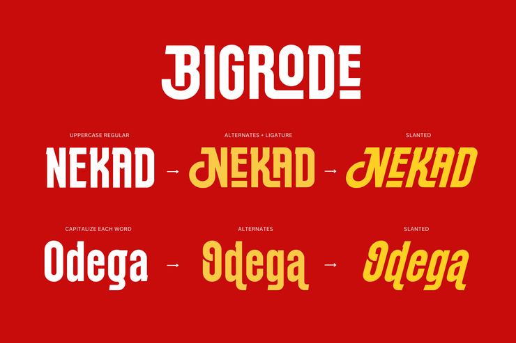 bigrode 8