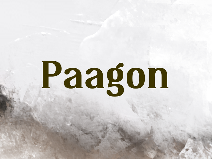 paagon 1