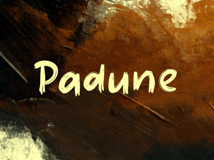 padune 1