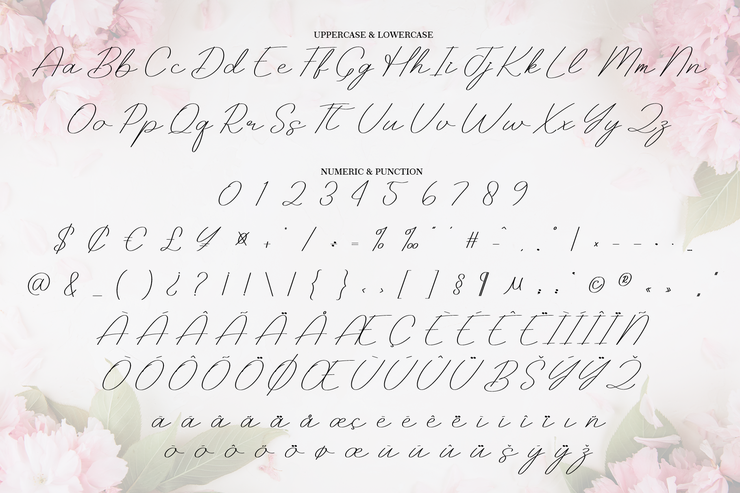 Beauty字体 7