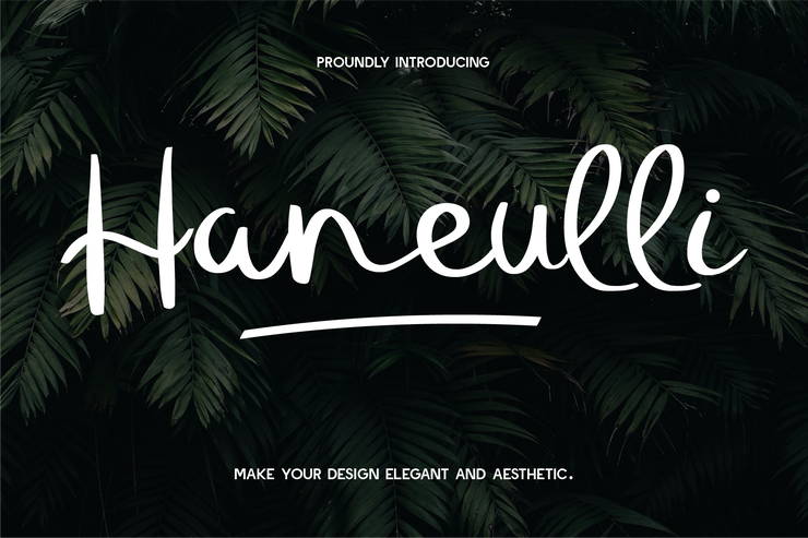 haneulli demo 1