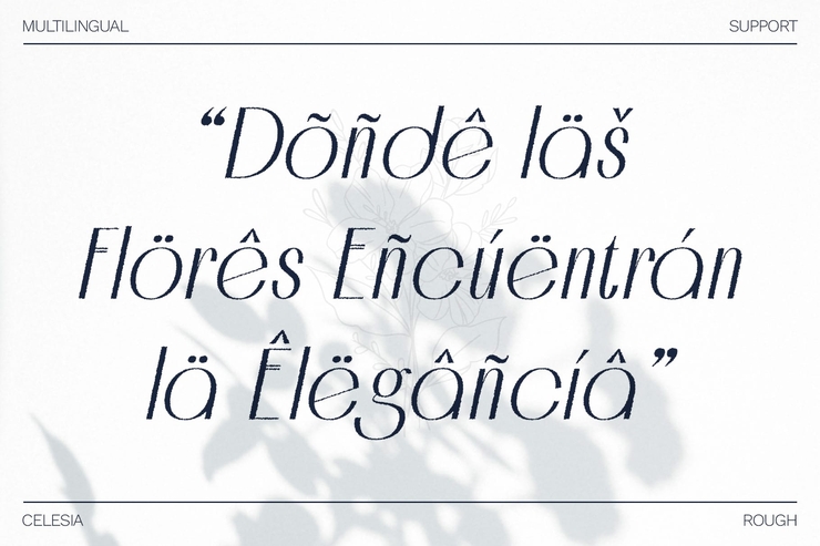 celesia rough 7