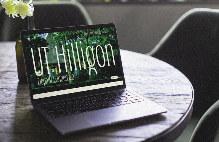 ut hilligon 8
