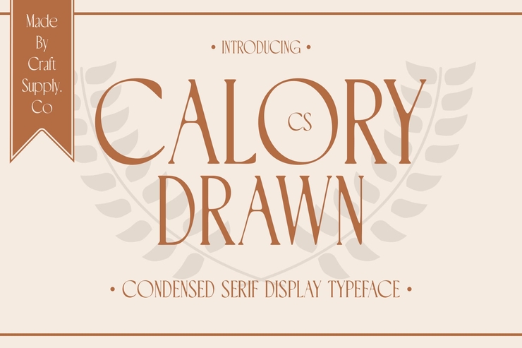 cs calory drawn 1