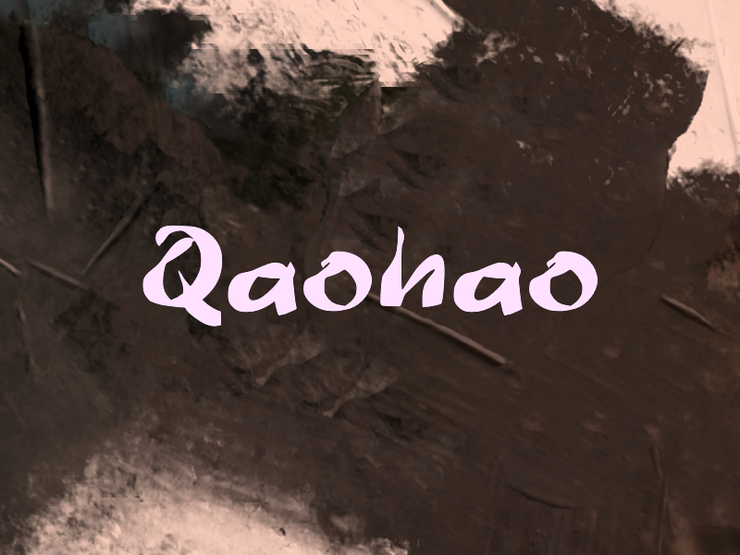 qaohao 1