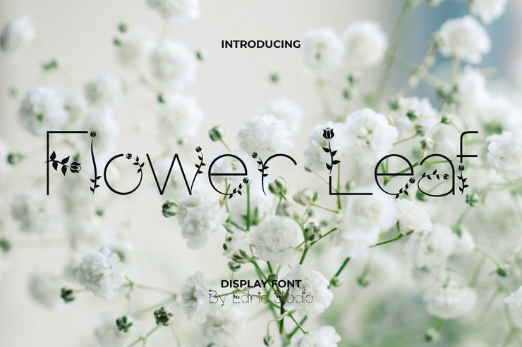 Flower Leaf字体 4