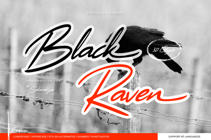 Black Raven字体 6