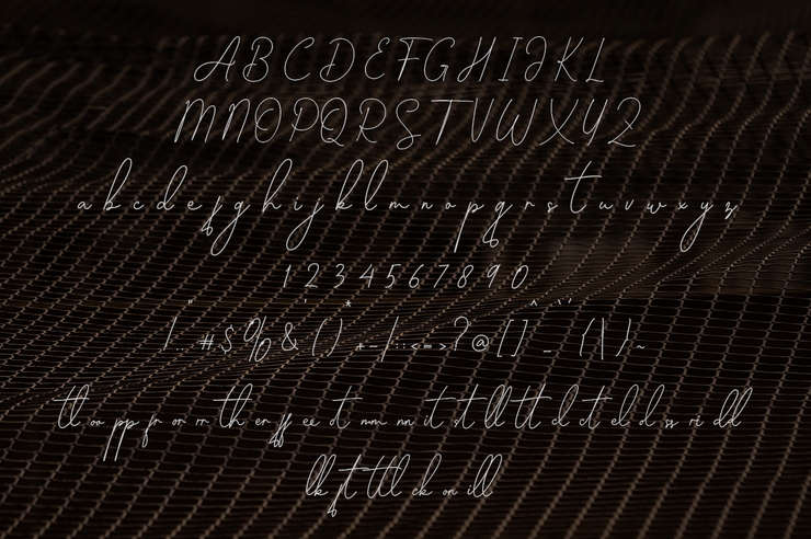Nicollette Monoline字体 3