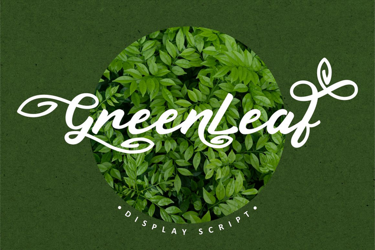 Greenleaf字体 1