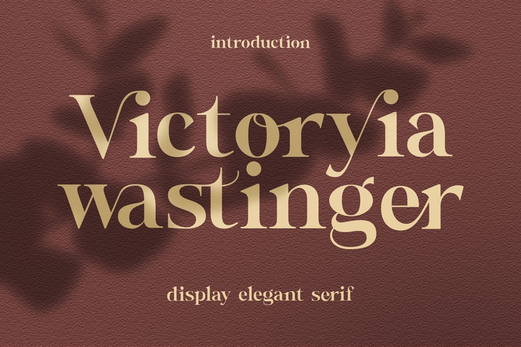 Wastinger Display字体 4