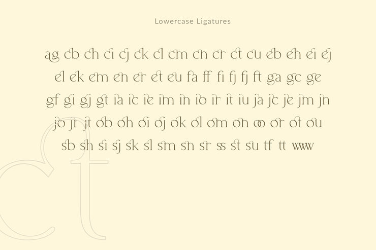 Allenia Serif字体 4