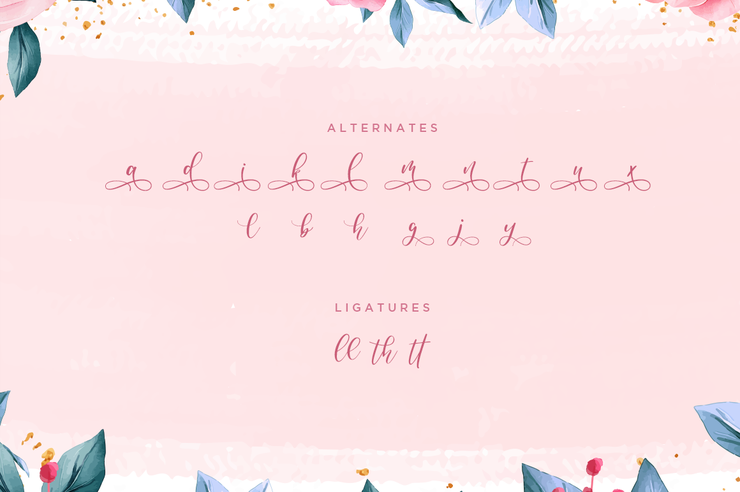 Anandya字体 3