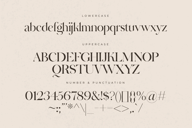 Hermione字体 9